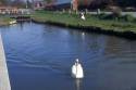 Welshpool Canal  -  (c) FreeFoto.com 